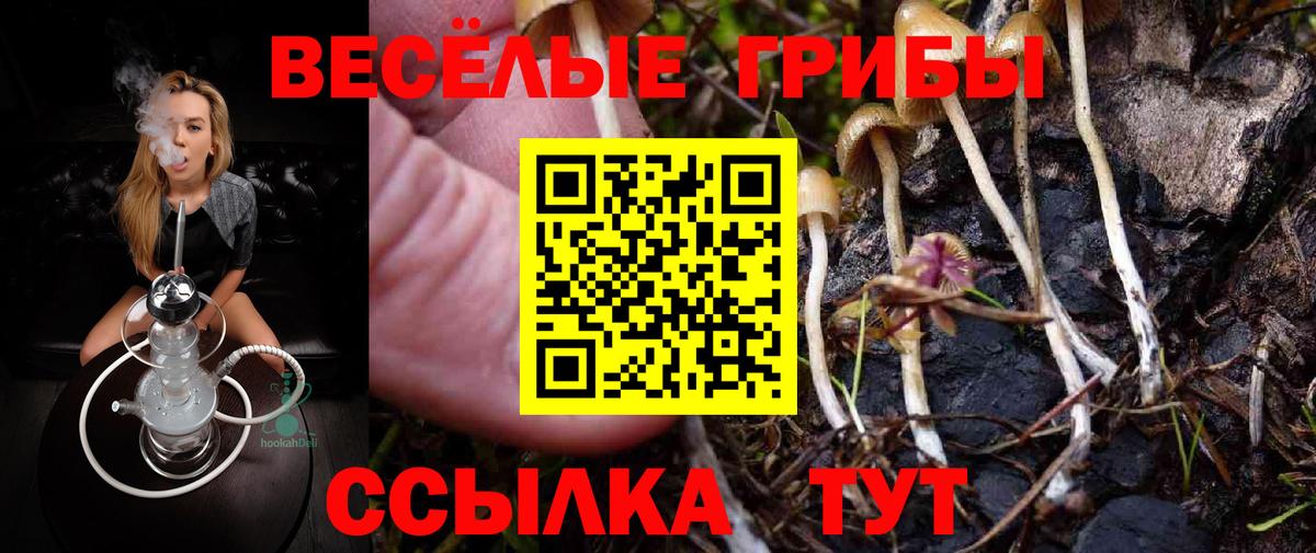 Галлюциногенные грибы мухоморы Ишим